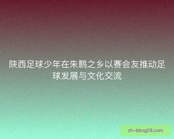 陕西足球少年在朱鹮之乡以赛会友推动足球发展与文化交流
