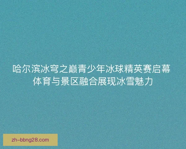 哈尔滨冰穹之巅青少年冰球精英赛启幕 体育与景区融合展现冰雪魅力